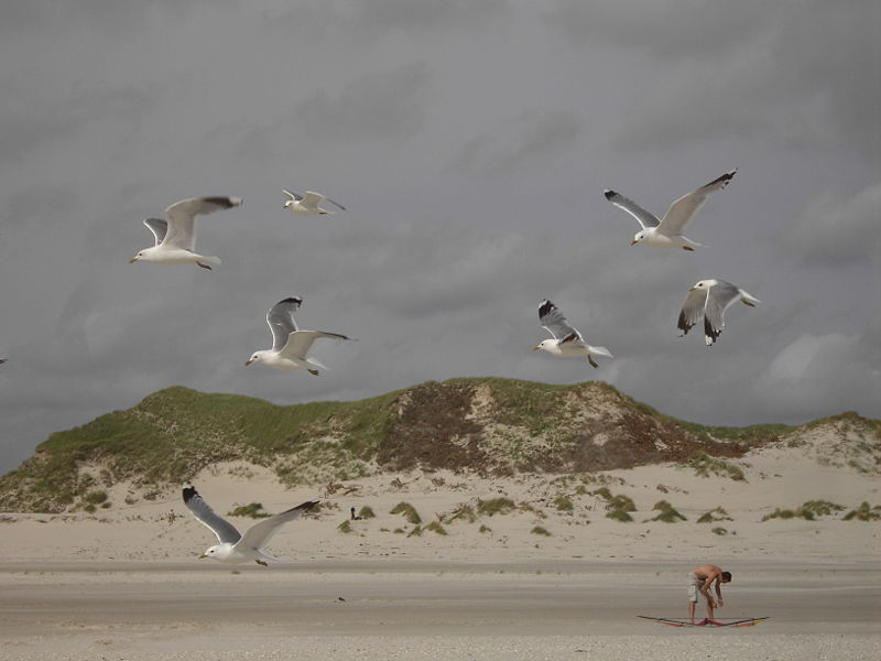 Süddorf Amrum Süddorf