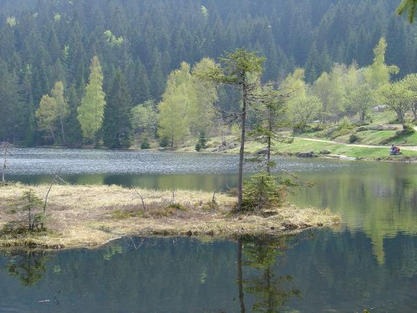 Arbersee