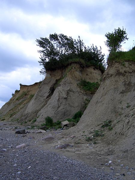 Niendorf Steilküste in Niendorf