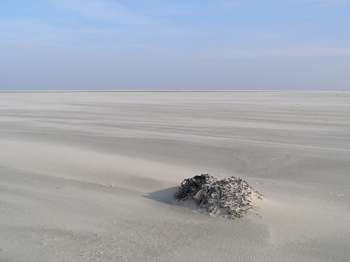 Wattenmeer