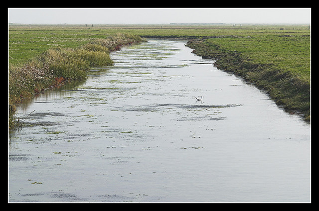 Hallig Hooge Hallig Hooge