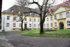 Waldsee Freiburg