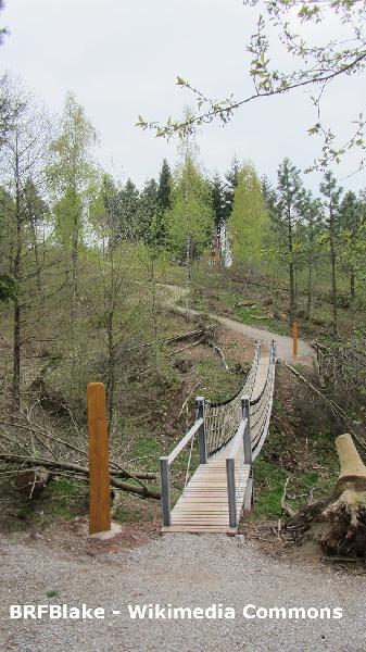WeltWald Arboretum WeltWald Arboretum in Bad Grund im Harz