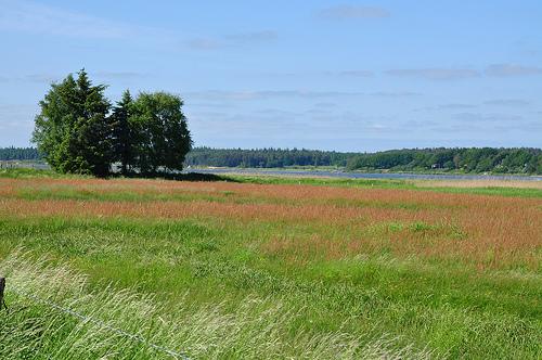  Naturpark Schlei