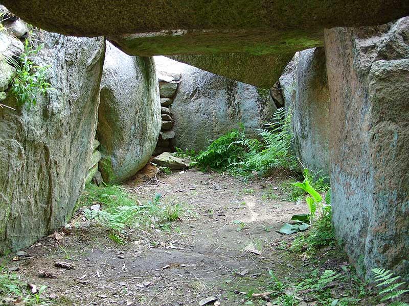 Steingrab in Soderstorf