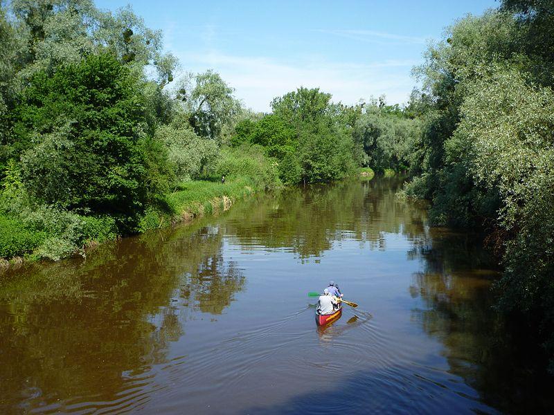Platzhalter