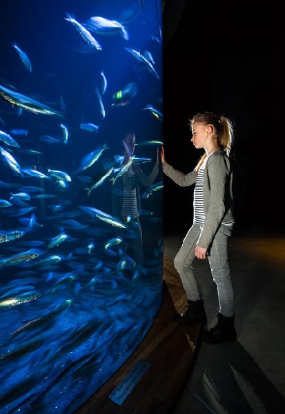 Ozeaneum Mädchen