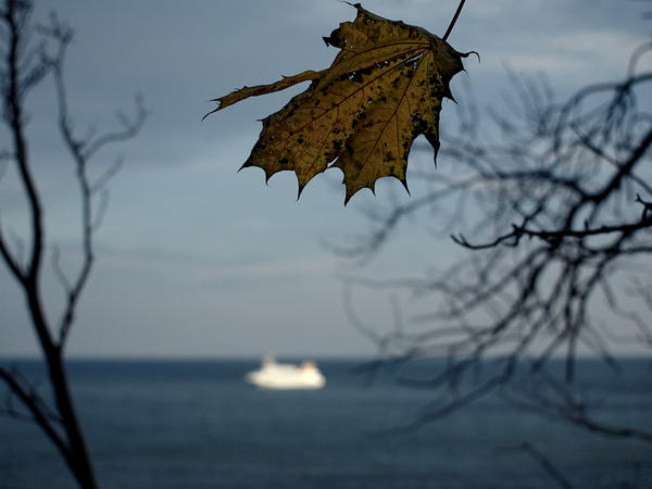 Herbst auf Rügen