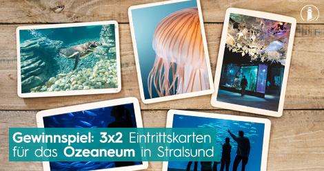 Ozeaneum Gewinnspiel