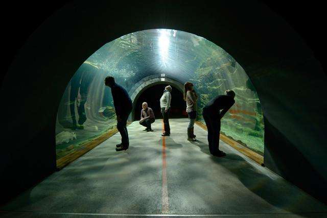 Ozeaneum Tunnel