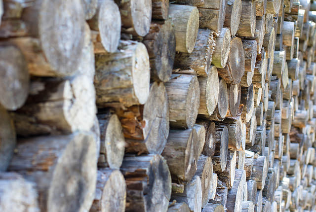 Holz Holz