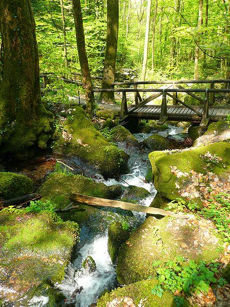 Sasbachwalden Sasbachwalden