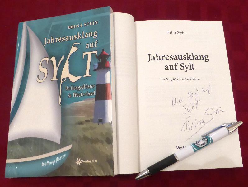 Brina Stein Buch2