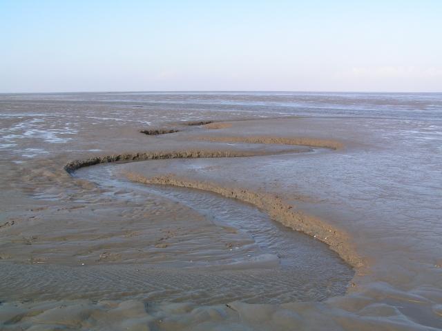 Mudflat