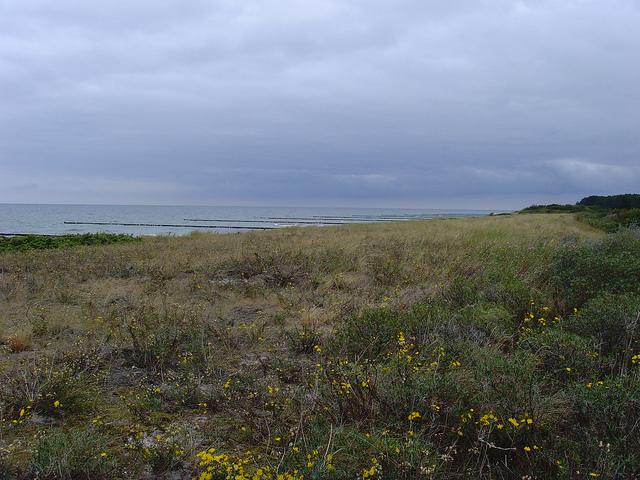 Baltic Sea - Hiddensee