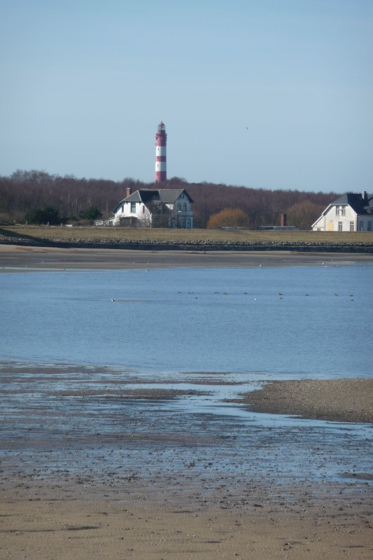 North Frisia - Amrum