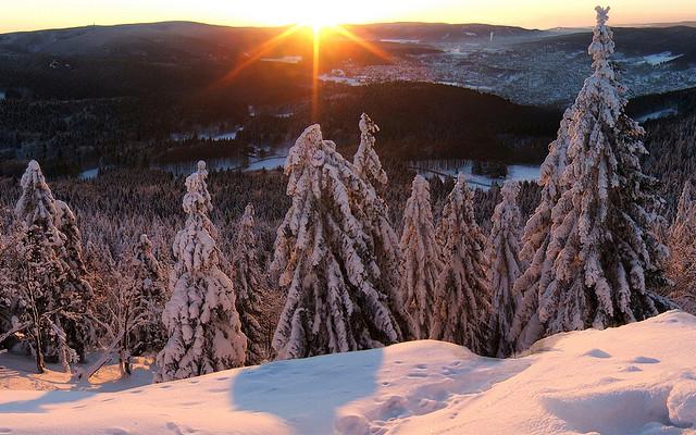 Thuringian Forest