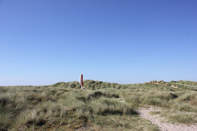 Duene auf Sylt