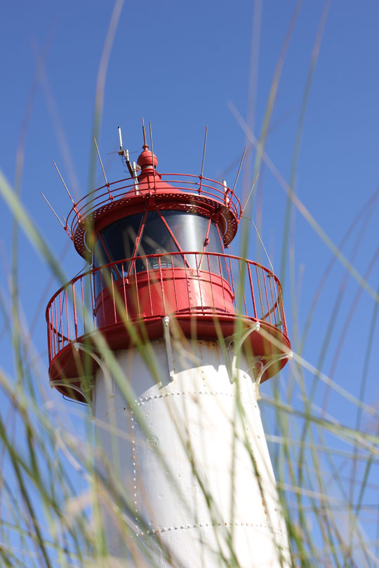 Leuchtturm hinter Gras