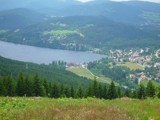 Blick auf Titisee