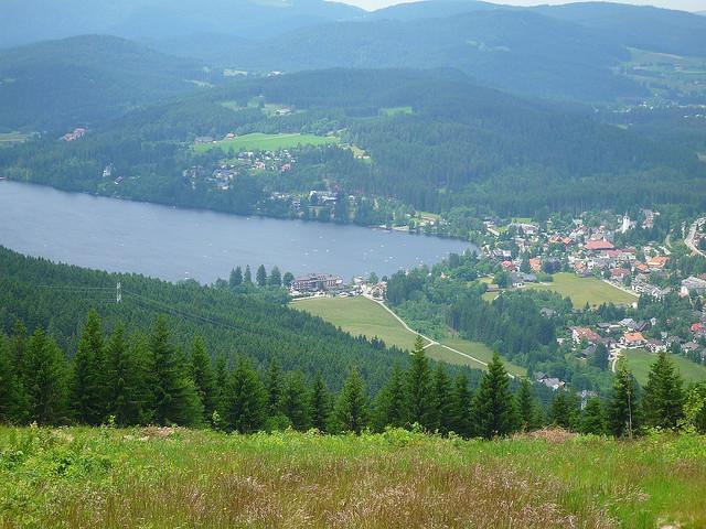 Blick auf Titisee