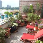 Gästeappartement Rheinkai - Köln