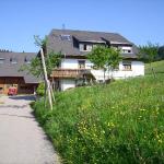 Bauernhof Kleinklausenhof Wohnung 70qm - Vöhrenbach