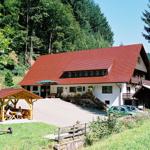 Hinterkimmighof - Oberharmersbach