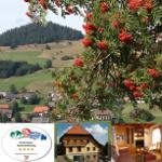 Ferienappartement Gisela - Bernau im Schwarzwald