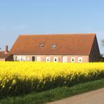 Ferienwohnung Westerbergen - Westerbergen