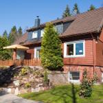 Luxus Ferienhaus Romantica - Hahnenklee