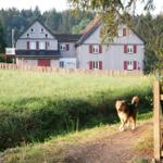 Ferienhaus tomGalme - Buntenbock