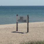 Der Wind/Kitesurf Strand von Port Olpenitz/Weidefelder Strand