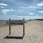 Der Hundestrand von Port Olpenitz/Weidefelder Strand