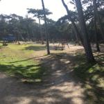 Der große Spielplatz am Ende der Waldallee (ca. 200m)