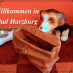 Hunde Willkommen!