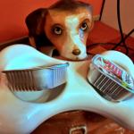 Hallo und Willkommen!