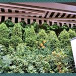 Blick von der Terrasse