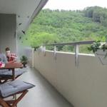 Ap. Mona m. Schwimmbad u. Sauna - Bad Harzburg