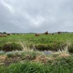 Landschaft