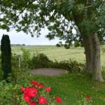 Gartenblick