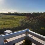 Blick von Balkon auf grünes Feld und Bäume unter blauem Himmel.
