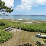 Grüner Garten mit Picknicktisch und Liegeplatz direkt am Strand. Blick auf das Meer und einen Baum.