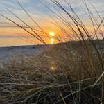 Sonnenuntergang über dem Strand mit Dünen gras und einem Haus im Hintergrund.