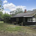Schwarzes Holzhaus mit Terrasse und Garten. Fenster mit weißen Rahmen. Hintergrund Wald.