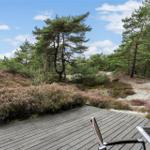 Holzterrasse mit Blick auf Heide und Nadelbäume unter blauem Himmel.