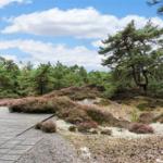 Haus mit Terrasse, umgeben von Nadelbäumen und Heideflächen unter blauem Himmel.
