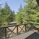 Terrasse mit Blick in einen Wald mit Nadelbäumen und einem Pfad.