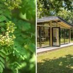 Moderne Holzhütte mit Glasfront im Grünen