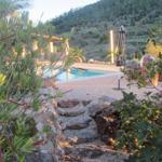 Poolsbereich mit Sonnenschirm und Steinweg zwischen Pflanzen